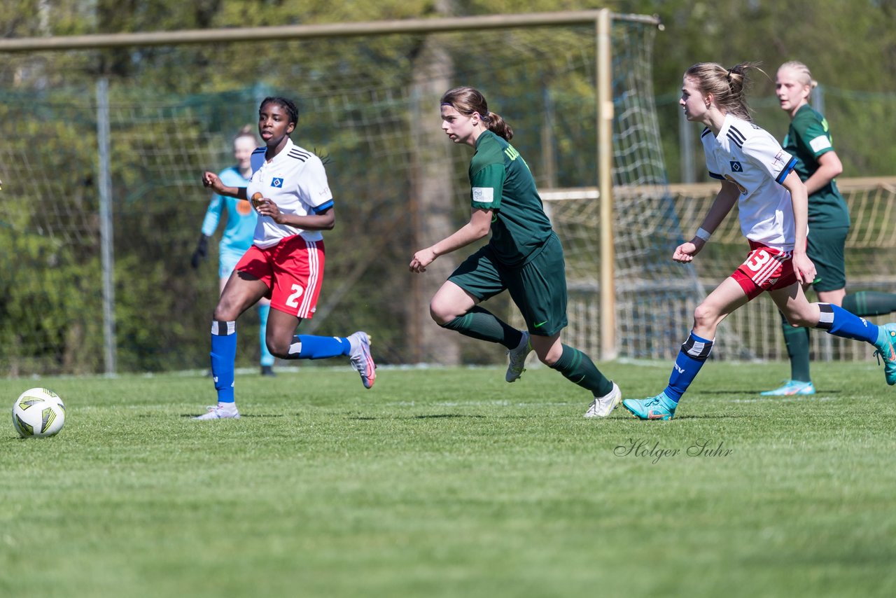 Bild 131 - wBJ Hamburger SV - WfL Wolfsburg : Ergebnis: 2:1